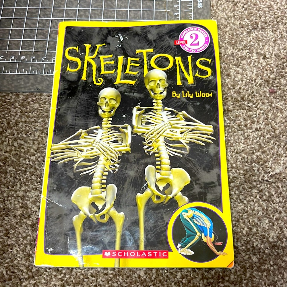Skeletons by Lily Wood level 2 reader book